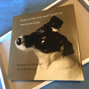 Coffee Table Book, Dogs, “If only you knew how much I smell you”